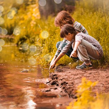 pour votre biotope